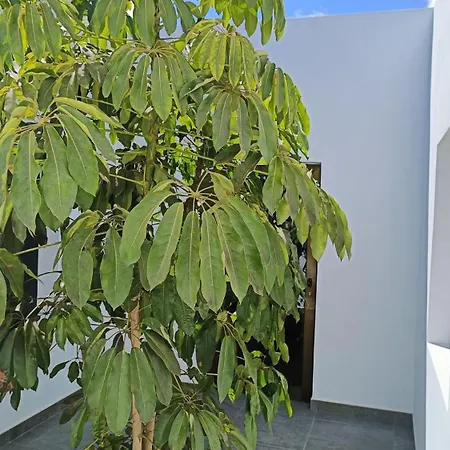 Holiday home Casa Jable *
